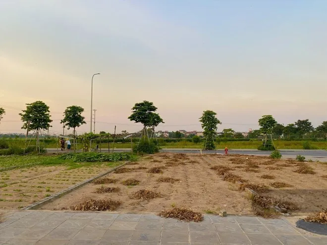 Đồng Nai tiếp tục áp dụng bảng giá đất tại từng địa phương trước khi hợp nhất