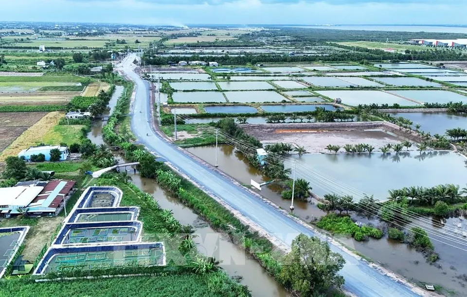 Đồng Tháp khẩn trương lựa chọn nhà thầu với các dự án khởi công mới