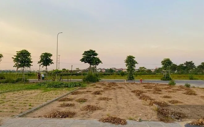 Phú Thọ đồng bộ 100% thửa đất lên cơ sở dữ liệu sau hợp nhất