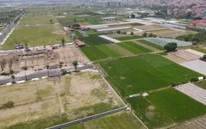 Đất sử dụng sai mục đích phải đăng ký biến động