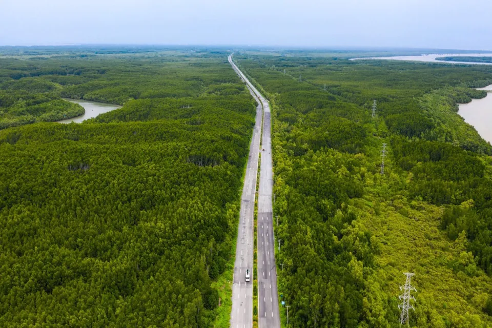 TP Hồ Chí Minh lập hội đồng thẩm định dự án đường vượt biển Cần Giờ