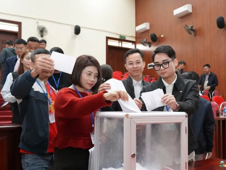 Đấu giá đất tại xã Quang Minh (Hà Nội): Giá trúng cao nhất gần 130 triệu đồng/m²