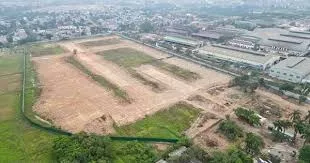 Căn cứ xem xét, quyết định việc chuyển mục đích sử dụng đất