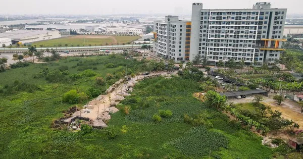 TP Hồ Chí Minh quy hoạch Trung tâm Chính trị - Hành chính 7,84 ha tại Thủ Thiêm