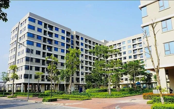 13 đơn vị tại TP Hồ Chí Minh đăng ký xây nhà cho thuê