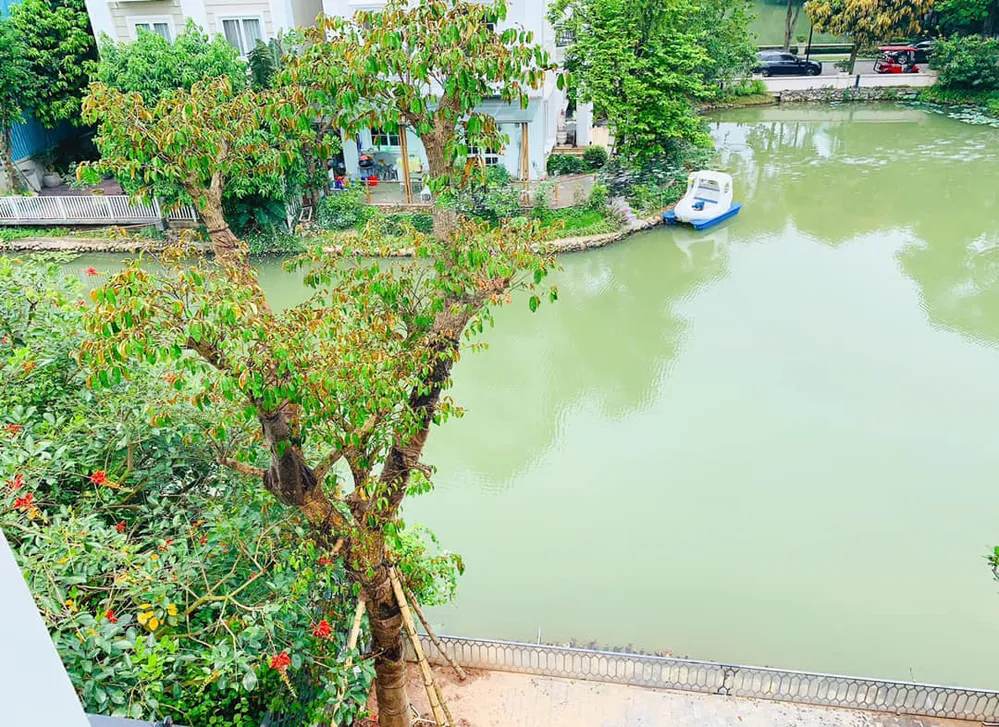 nhà của diễn viên Lã Thanh Huyền