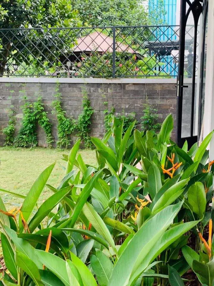nhà của diễn viên Lã Thanh Huyền