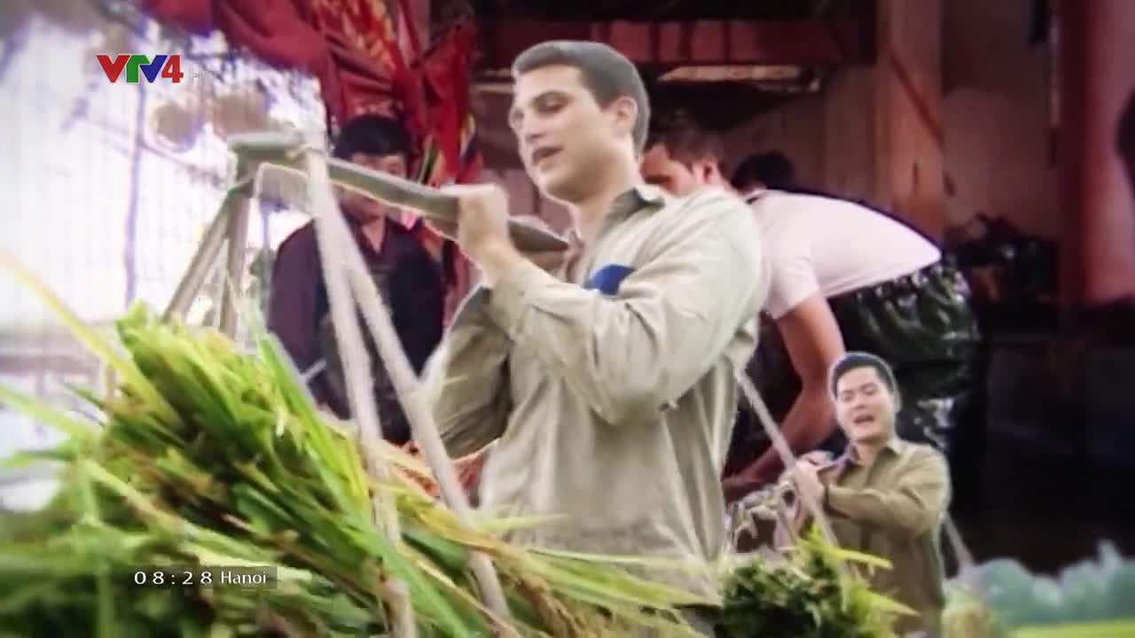 Vietnam Discovery: Why do less Vietnam USE bamboo?