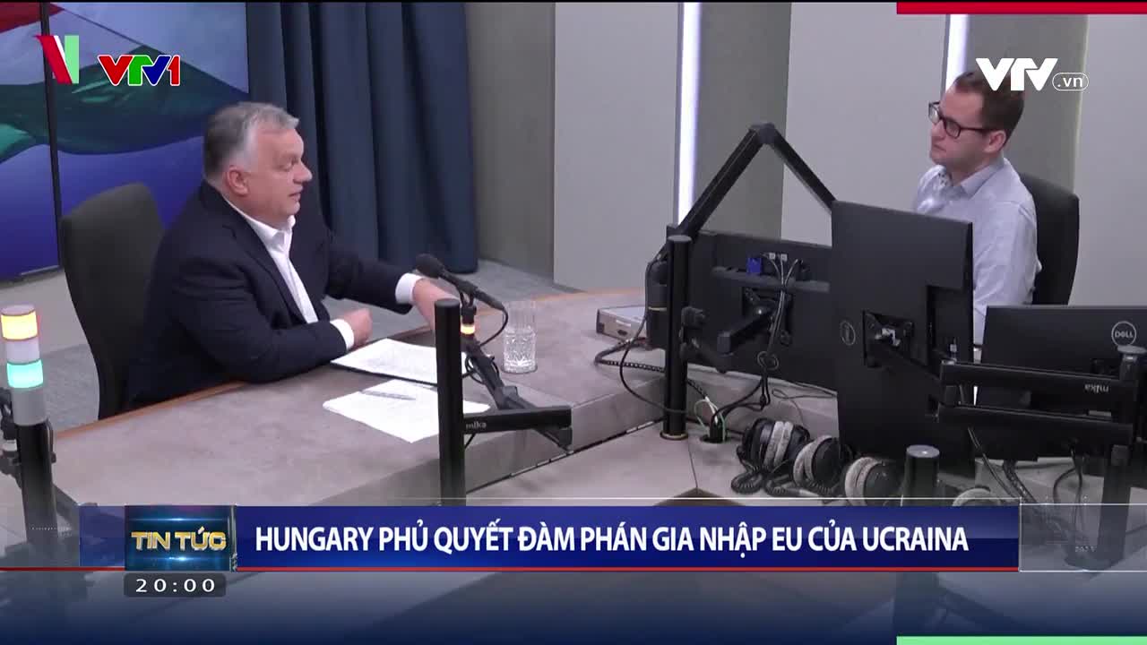 Thời sự 20h VTV1 - 11/11/2023 - Video đã phát trên VTV1 | VTV.VN