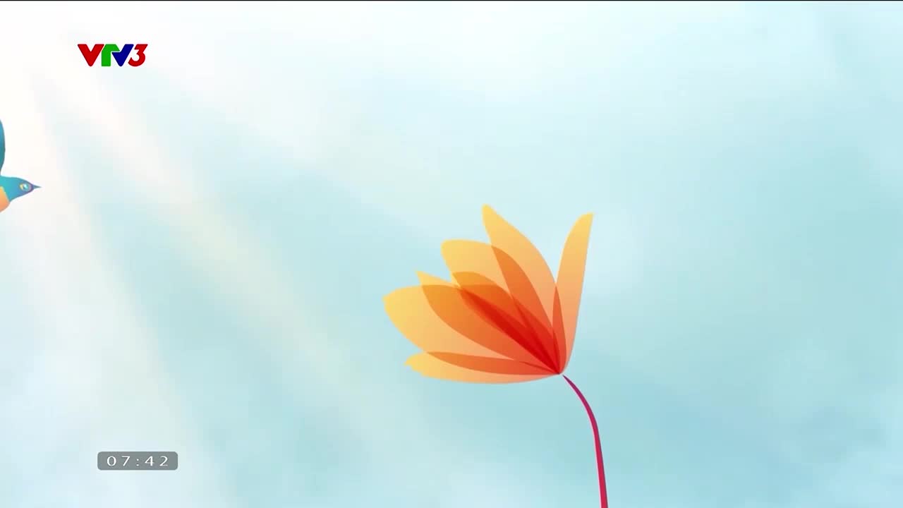 Mỗi ngày một niềm vui - 22/11/2023 - Video đã phát trên VTV3 | VTV.VN