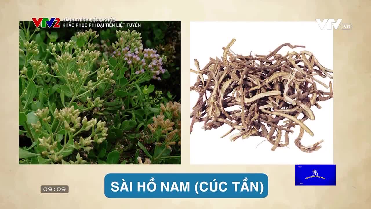 Hành trình sống khỏe: Khắc phục phì đại tiền liệt tuyến