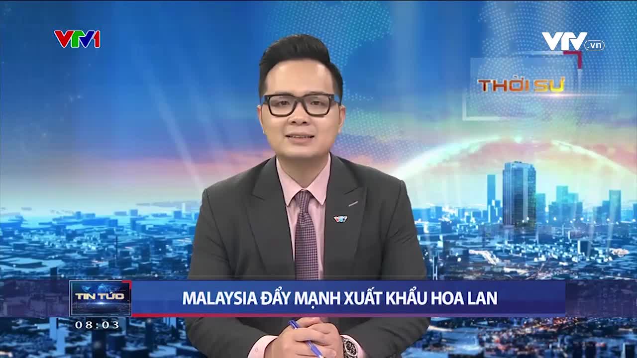 Thời sự 8h VTV1 - 19/02/2024 - Video đã phát trên VTV1 | VTV.VN