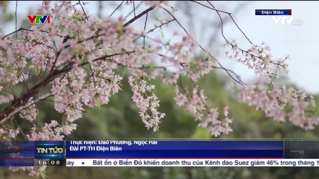 Thời sự 16h VTV1 - 06/02/2024 - Video đã phát trên VTV1 | VTV.VN