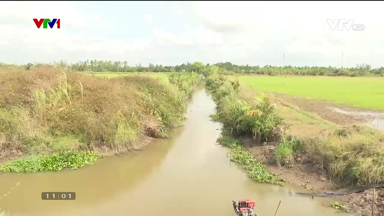 Thời sự 11h VTV1 - 12/3/2024 - Video đã phát trên VTV1 | VTV.VN