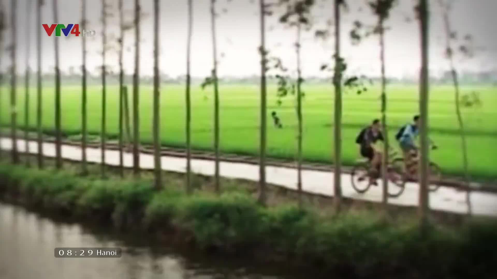 Vietnam Discovery: Mystery of wetland ecosystem