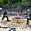 Memories of former war prisoners in Phu Quoc