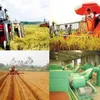 Preferable loans – Leverage for agriculture restructure