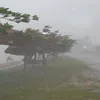 Typhoon Mujigae to Impact China, Vietnam