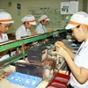 Vietnam calls for Japanese supporting industry investors