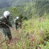 RoK helps Vietnam train mine clearance personnel