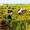 Dong Ha – Ha Giang’s first commune recognized as new-style rural area