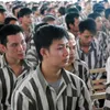 Foreign prisoners offered holidays