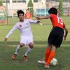 Soccer match connects Vietnamese and Japanese youths