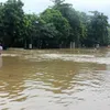 Local residents volunteer to guard flooded river banks