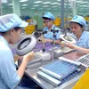 Dong Nai's nine-month FDI exceeds yearly target