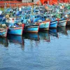 Vietnam aquaculture sector reviewed