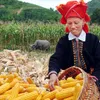 Vietnam ends extreme poverty for millions of people