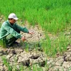 Vietnam committed to fighting climate change