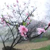 Sa Pa tourists eager to enjoy the cherry blossoms