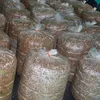 Mushroom cultivation creates local jobs