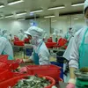 Vietnamese shrimp exports to UK rise