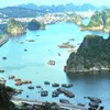 Belgium to help with environmental protection in Ha Long Bay