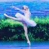 Russia presents Swan Lake in 3D format