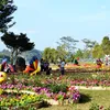 6th Dalat Flower Festival nears