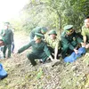 Ha Tinh releases rare animals into the wild