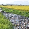 Agricultural solutions in Thua Thien Hue Province