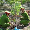 Heritage trees raise awareness over environmental protection