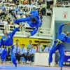 World Federation of Vietnam Martial Arts established