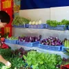 Hanoi CPI slightly down in September