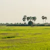 Reserve rice sent to mountainous areas before rainy season