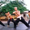 Vietnamese martial arts transcend national boundaries