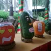 Eye-catching vegetables – a new direction for Da Lat’s agriculture