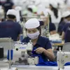 Vietnam’s economy is projected to recover steadily