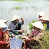 Drought, saltwater intrusion batter southern Vietnamese province