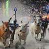 Bay Nui Ox Race Festival celebrated in An Giang Province