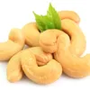 Cashew exports maintain strong growth in H1 of 2015